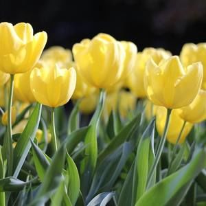 Meet your Posher, Marilyne